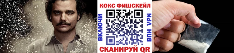 Купить закладки  Дмитров  Кокаин 97% 